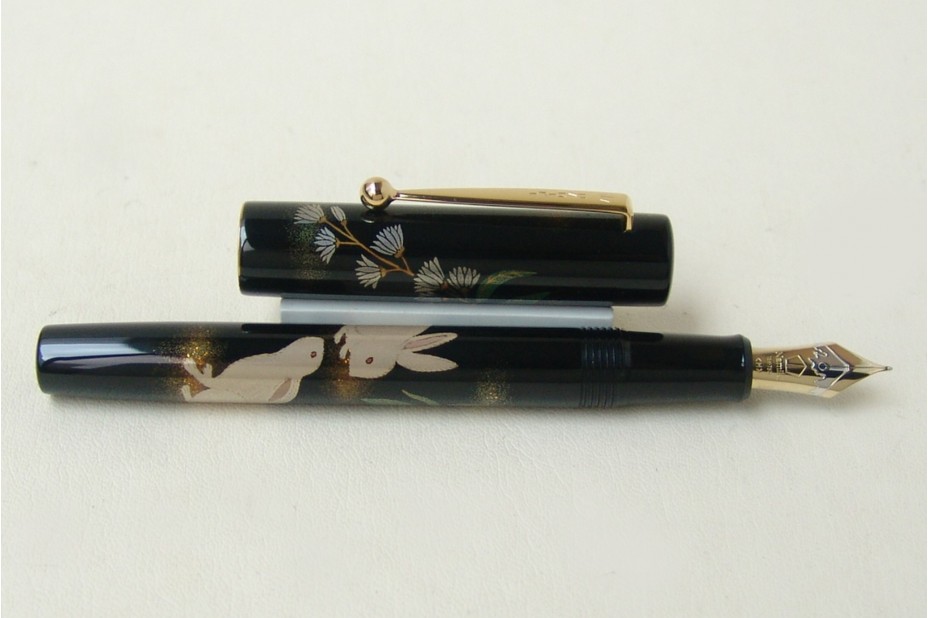 Pens