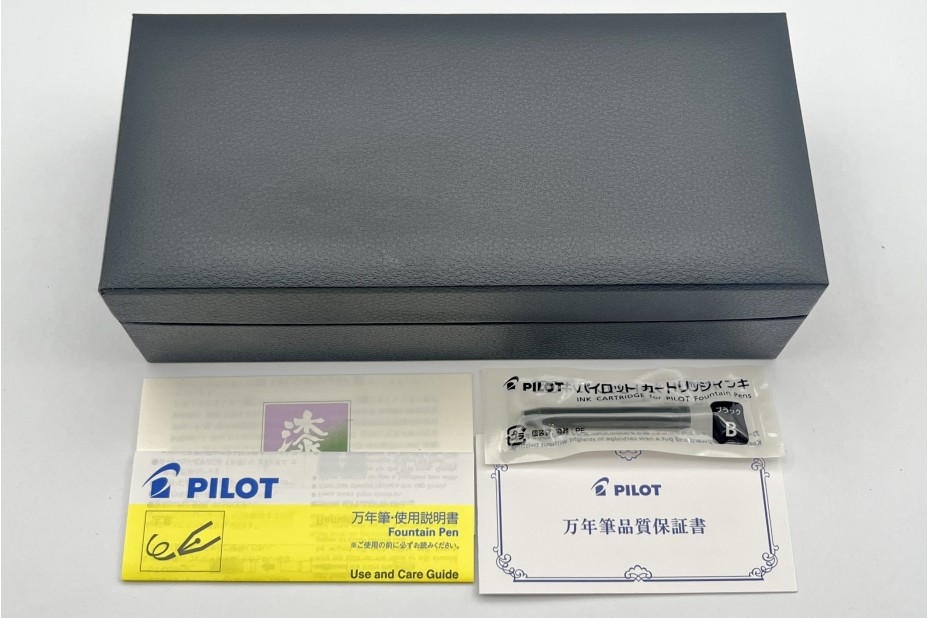 PILOT