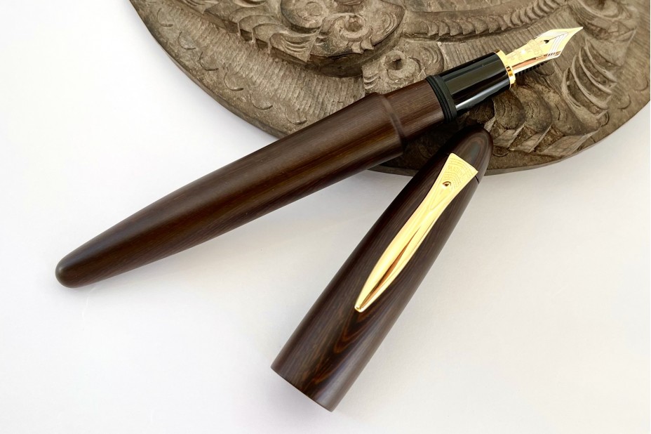 Platinum Izumo-Tagayasan Matte Fountain Pen