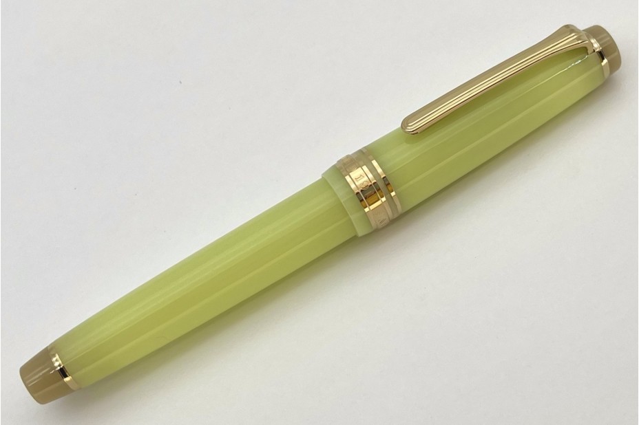 Sailor ProGear Slim Solar Term Fuki Fountain Pen