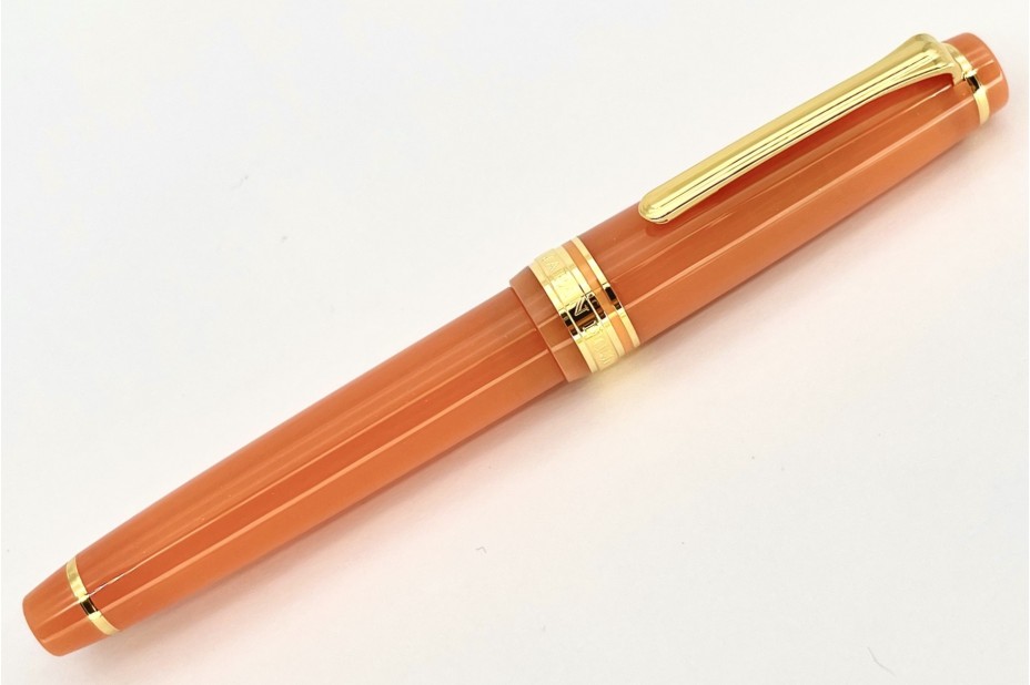 Sailor Seasonal Festivals ProGear Slim Kiku Fountain Pen